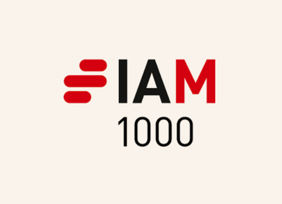 Remfry & Sagar IAM Patent 1000 Rankings: 2016 - 2026