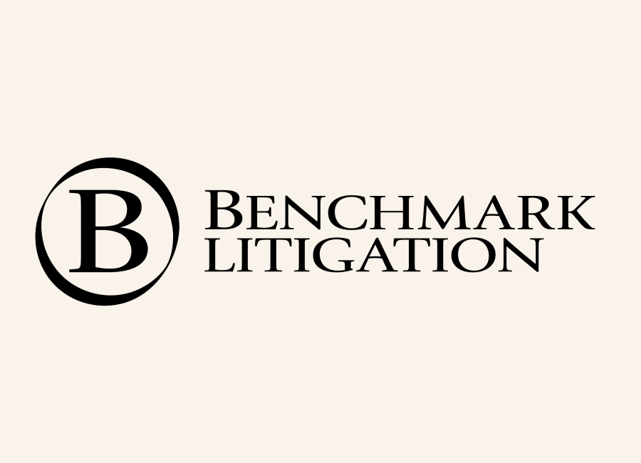 Remfry & Sagar Benchmark Litigation: 2024-2025